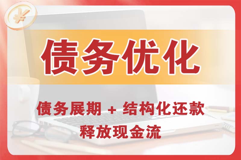应城债务优化