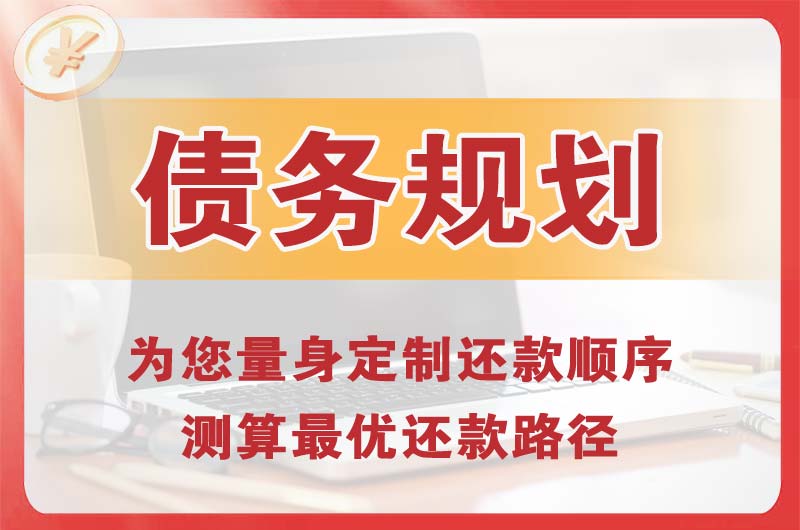 应城债务规划